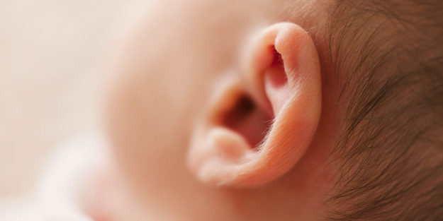 glue ear and speech development cornerstone therapy hamilton